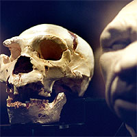 Una nueva datación dobla la edad de los fósiles de la sima de los Huesos